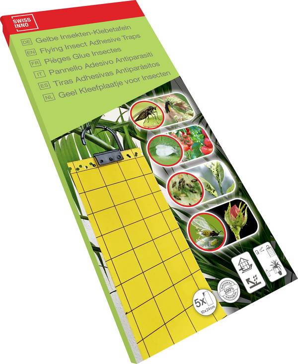 Piège collant pour insectes  Swissinno 1 249 235 (L x l) 240 mm x 100 mm  5 pc(s)