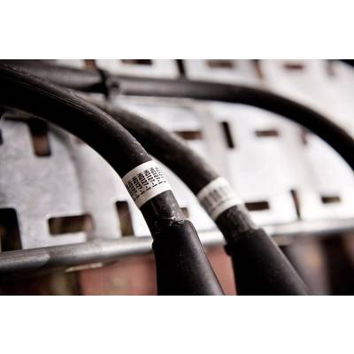 Deux épais câbles noirs munis d'étiquettes blanches sont montés côte à côte sur un support métallique. Ils se trouvent dans un environnement industriel.