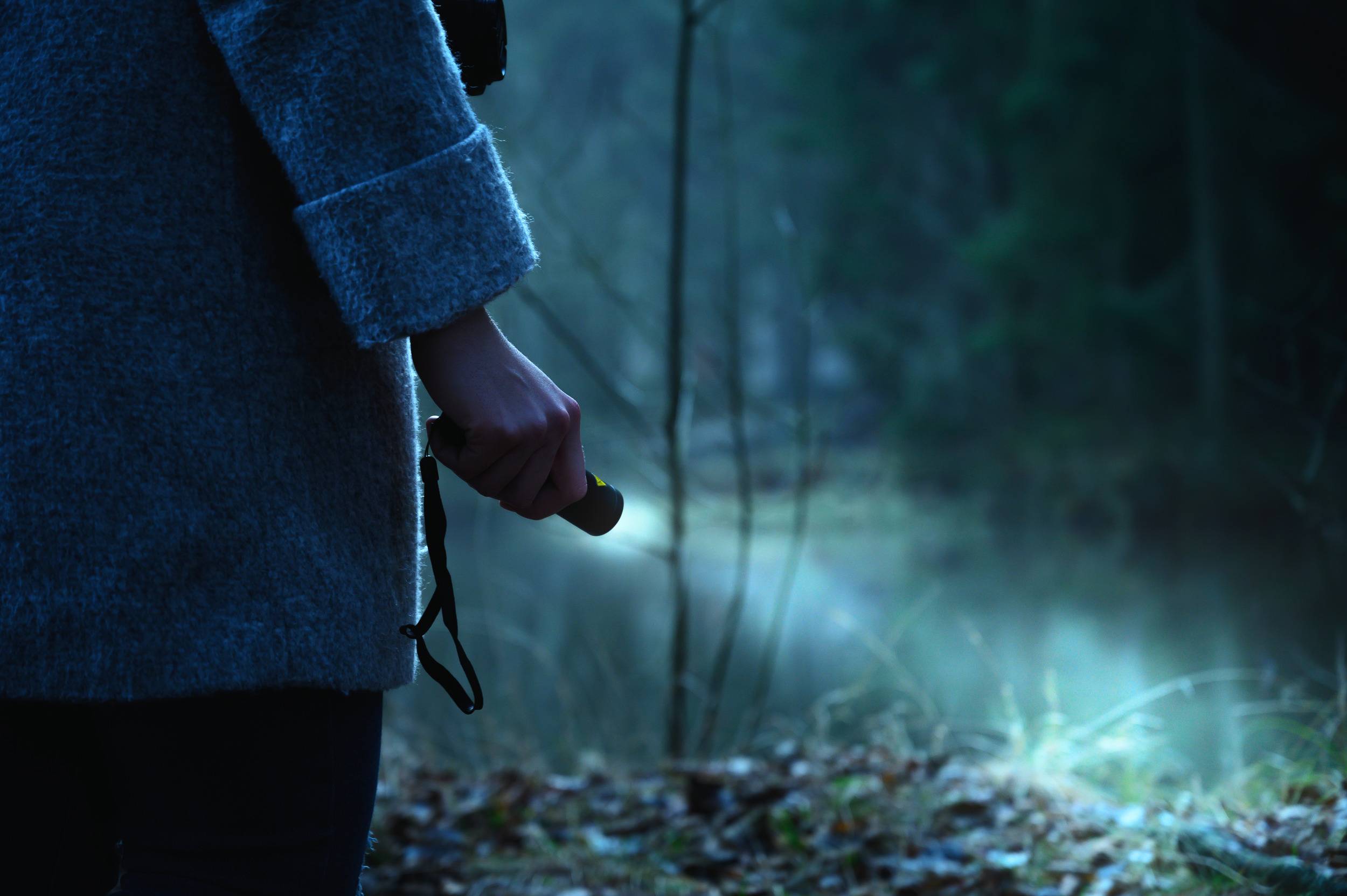 Une personne éclaire une forêt sombre avec une lampe de poche, la brume est légèrement visible et crée une atmosphère mystérieuse.