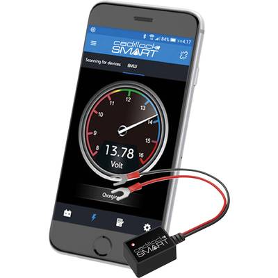 Cadillock Smart Contrôleur de batterie 6 V, 12 V, 24 V surveillance de la charge, test de batterie, contrôle alternateur