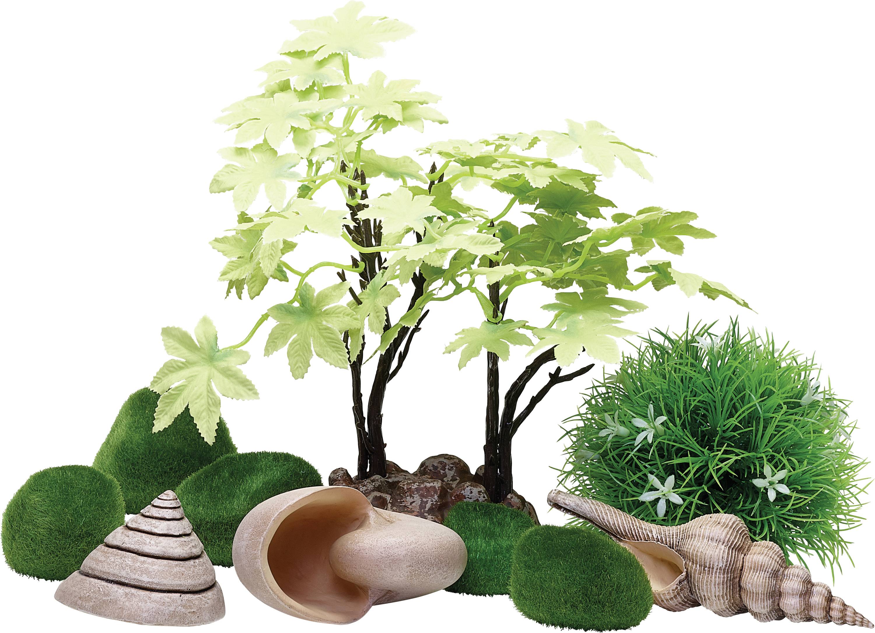 Un petit arrangement décoratif présentant des plantes vertes, un arbre miniature, de l'herbe artificielle et des coquillages sur un fond blanc.