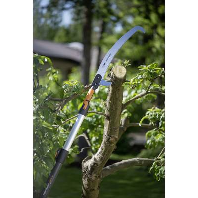 Arbre de jardin avec une branche sciée. Une scie à long manche est posée sur la branche. L'arrière-plan montre des arbres et des bâtiments flous.