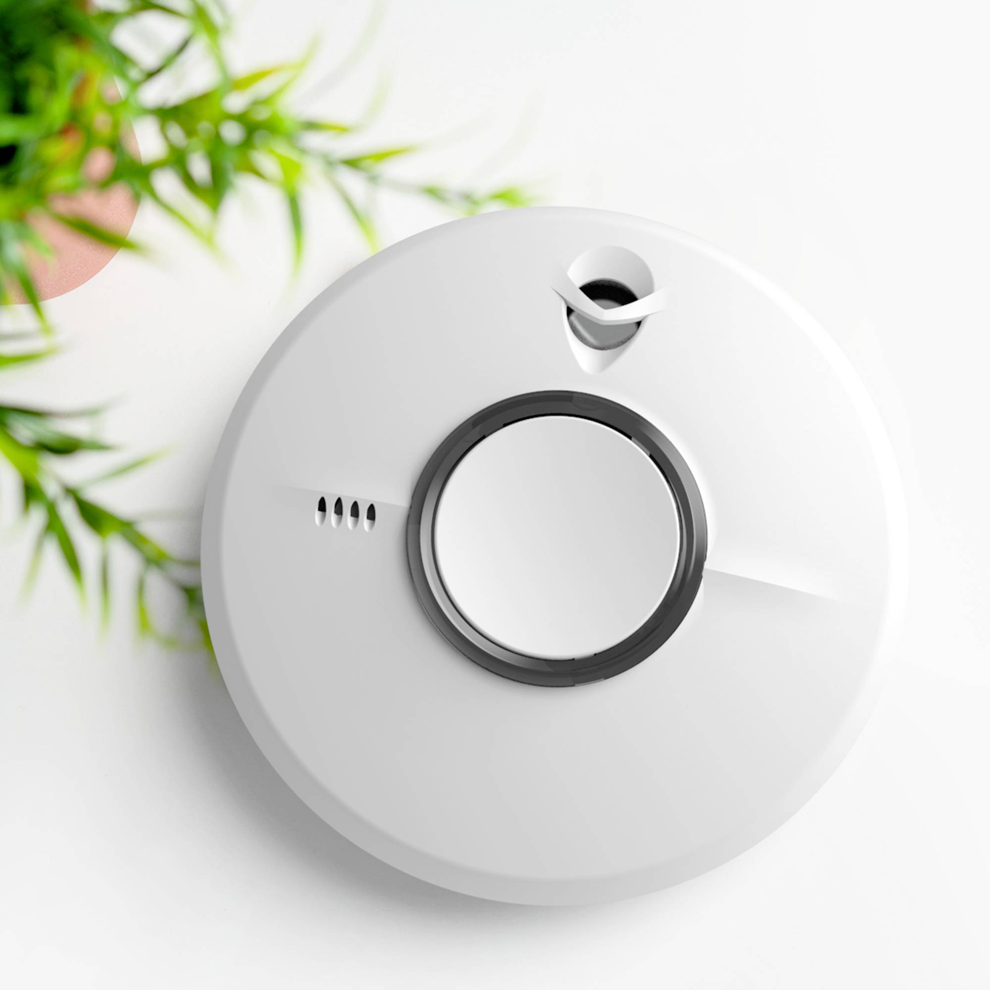 Un détecteur de fumée avec un bouton central est fixé à un plafond blanc, avec une petite plante suspendue à proximité.