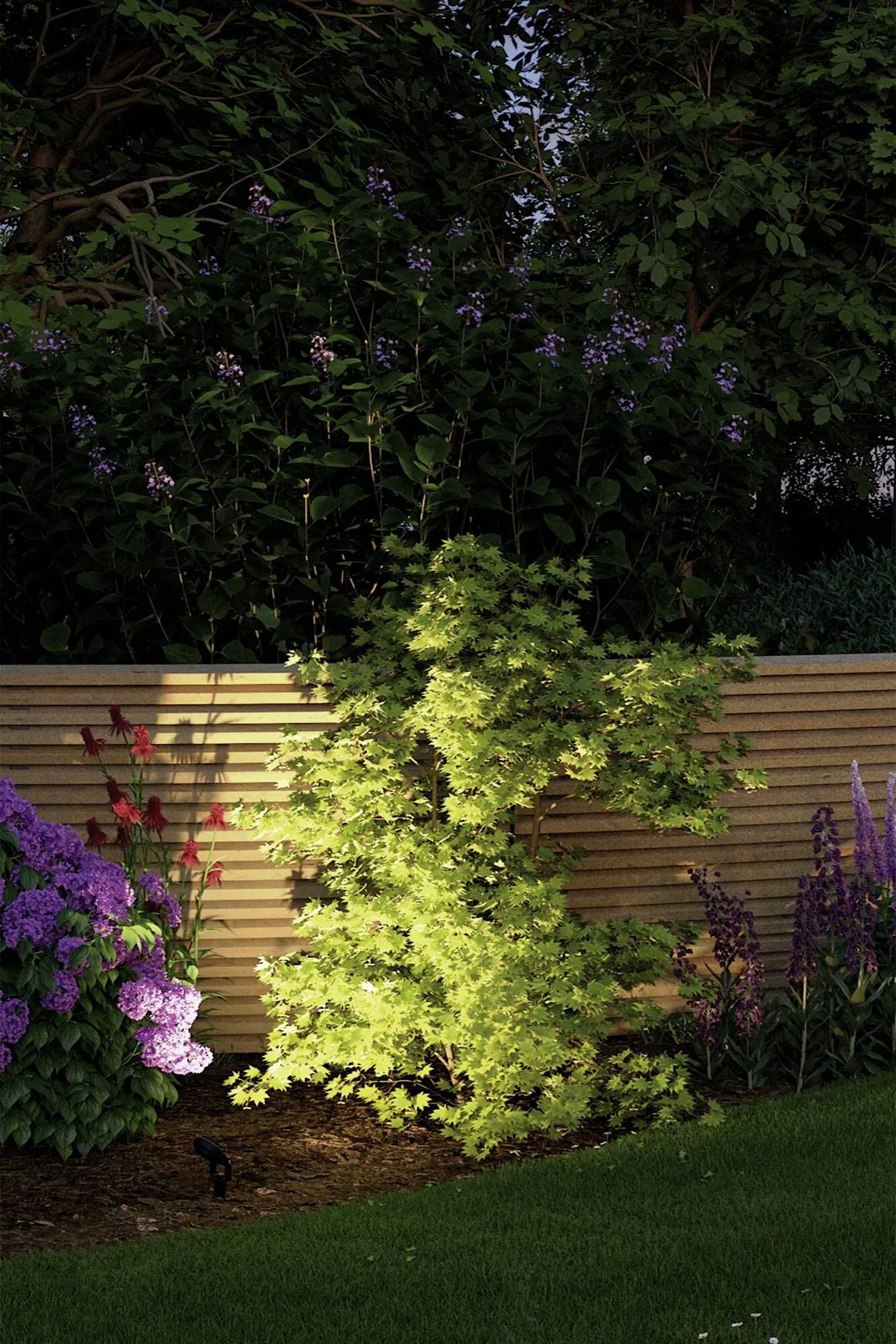Un petit projecteur éclaire une plante verte qui se trouve dans un parterre surélevé bordé de pierres.