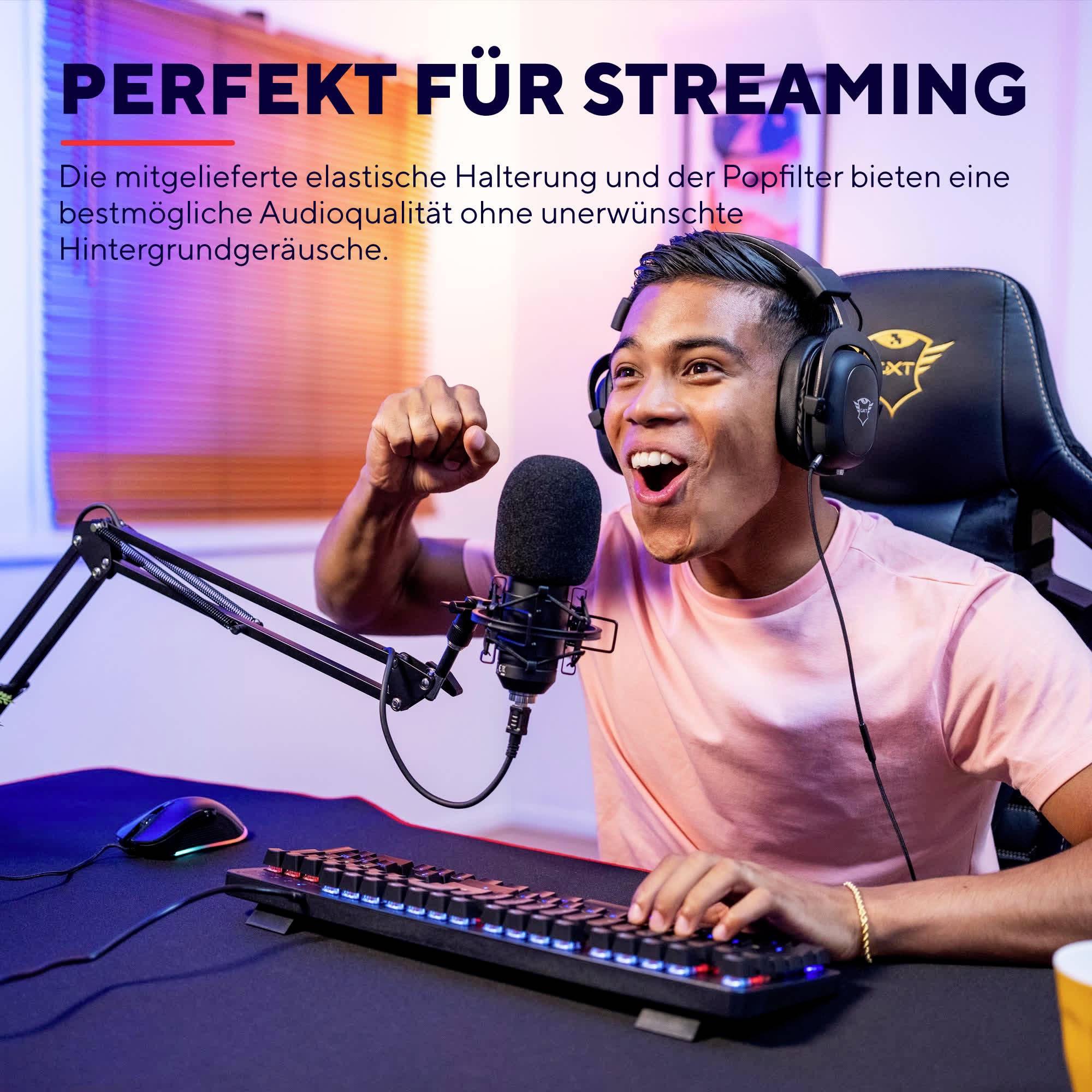 Un jeune homme est assis à un bureau avec un microphone et un clavier, sourit et lève le poing. Texte : 'Parfait pour le streaming'.