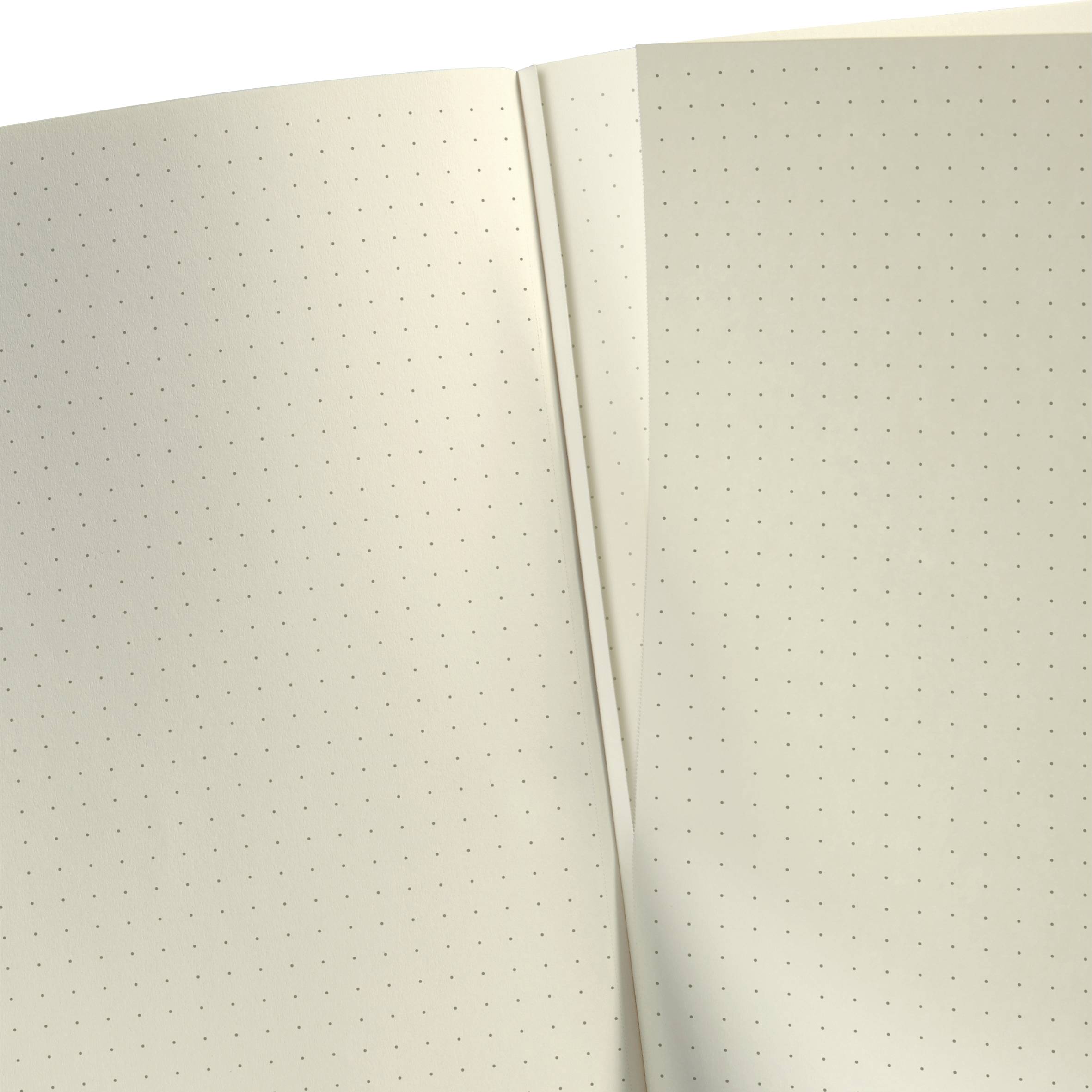 Carnet ouvert avec des pages quadrillées.