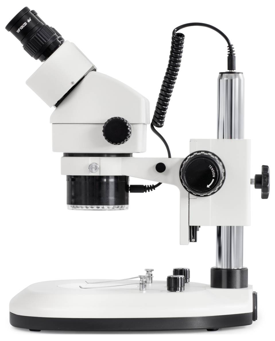 Un microscope stéréoscopique blanc avec oculaire noir monté sur un socle stable, adapté pour des observations scientifiques précises.