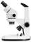Un microscope stéréoscopique blanc sur un fond blanc. Il possède deux oculaires et est utilisé pour des observations détaillées.