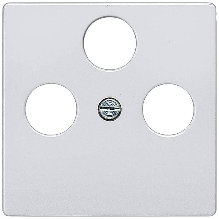 Couverture grise d'une prise d'antenne avec trois ouvertures rondes et une vis au centre.