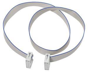 Câble plat gris clair avec des bandes bleues et des connecteurs aux deux extrémités, typiquement utilisé pour les connexions électroniques.