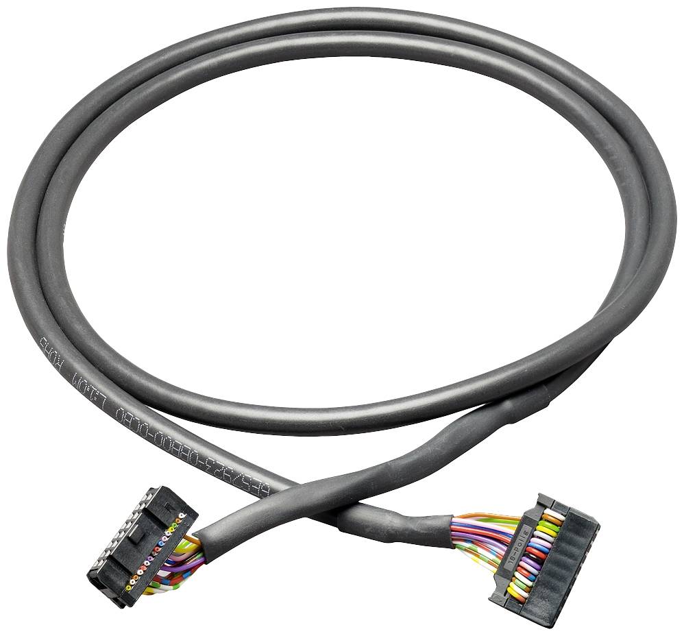Un câble noir contenant plusieurs fils de couleurs différentes, équipé de connecteurs aux deux extrémités.