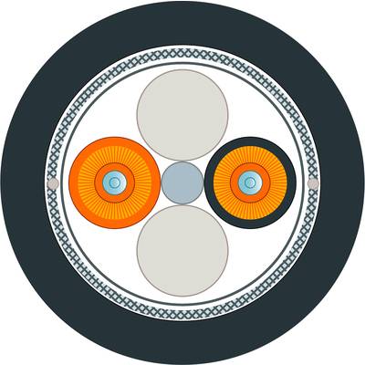 Coupe transversale d'un câble avec trois conducteurs principaux, deux en orange, un en noir, entourés d'une couche de protection.