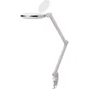 Lampe loupe LED TOOLCRAFT TO-7567479 Grossissement: 3.0 x