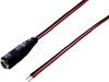 Câble de raccordement basse tension TRU COMPONENTS TC-2511286 DC mâle - extrémité(s) ouverte(s) 5.50 mm 2.10 mm 30 cm 1 pc(s)