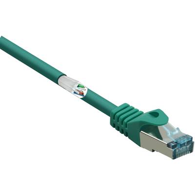 Un câble Ethernet vert avec connecteur RJ-45 métallique, destiné à la transmission de données entre des appareils réseau.