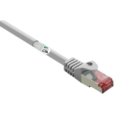 Un câble Ethernet gris avec une prise rouge et des fils internes partiellement visibles pour la transmission de données.