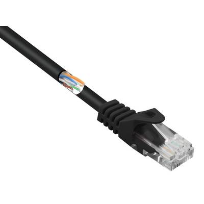 Câble réseau avec connecteur RJ45, montrant les fils colorés à l'intérieur. Couramment utilisé pour connecter des ordinateurs à un réseau.