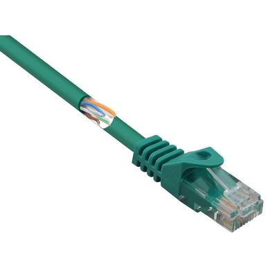 Basetech BT-2348163 RJ45 Câble réseau, câble patch CAT 5e U/UTP 15.00 m vert avec cliquet d'encastrement 1 pc(s)