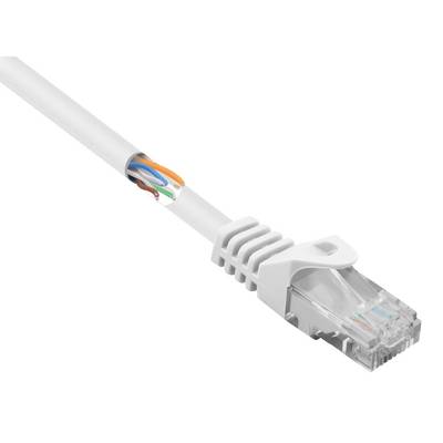 Basetech BT-2272261 RJ45 Câble réseau, câble patch CAT 5e U/UTP 15.00 m blanc avec cliquet d'encastrement 1 pc(s)-0