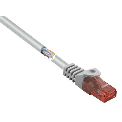 Un câble Ethernet gris avec une prise rouge, partiellement dénudé, montre quatre câbles de couleurs différentes.