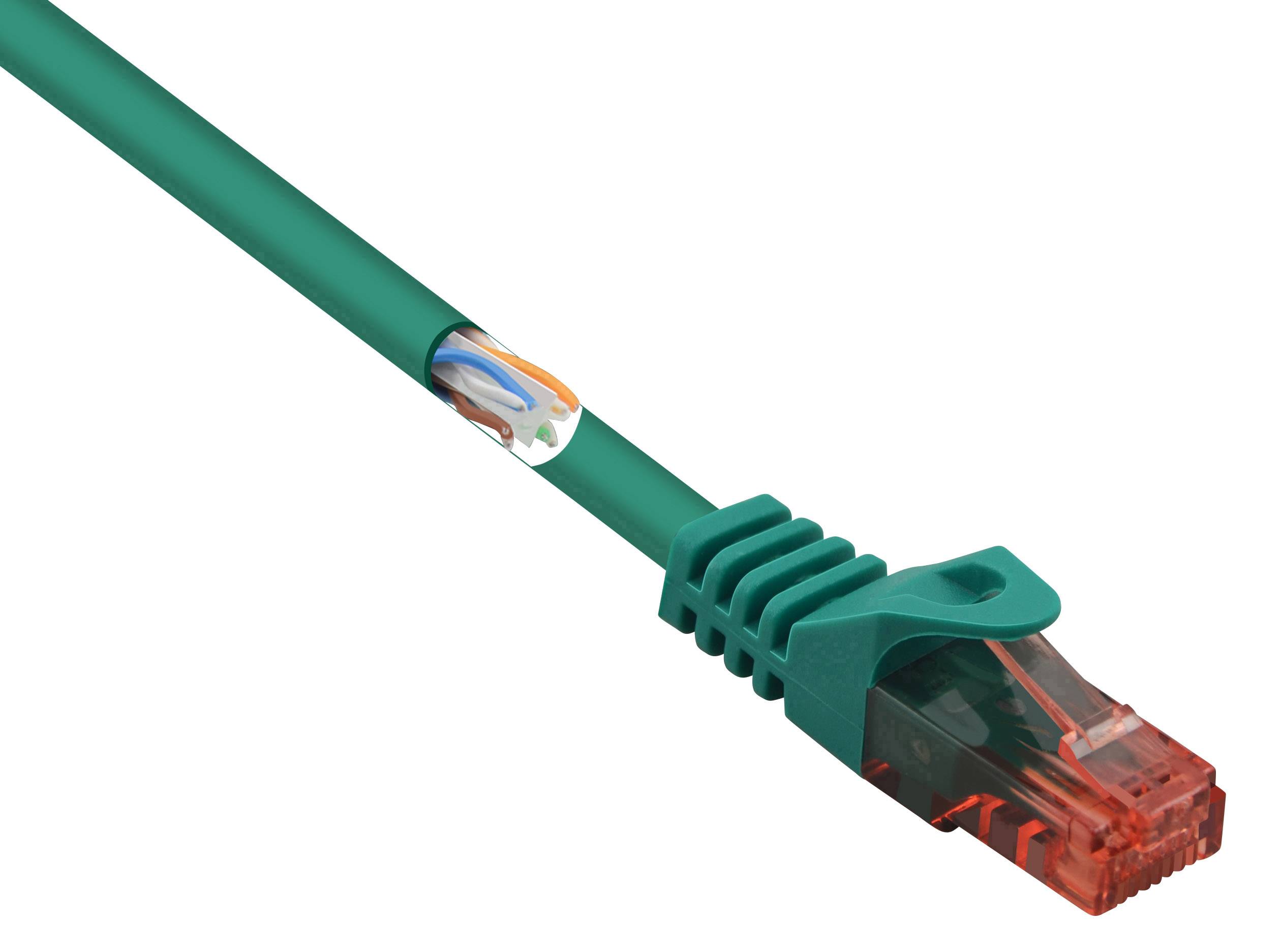Un câble Ethernet vert avec une prise transparente rouge, montrant une partie des fils intérieurs.