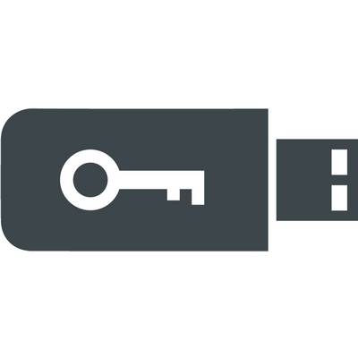 Symbole d'une clé sur une clé USB représentant la sécurité des données ou la protection d'accès.