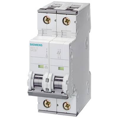 Disjoncteur bipolaire de Siemens, modèle 5Sy2._USER_. Utilisé pour interrompre le circuit électrique en cas de surintensité.
