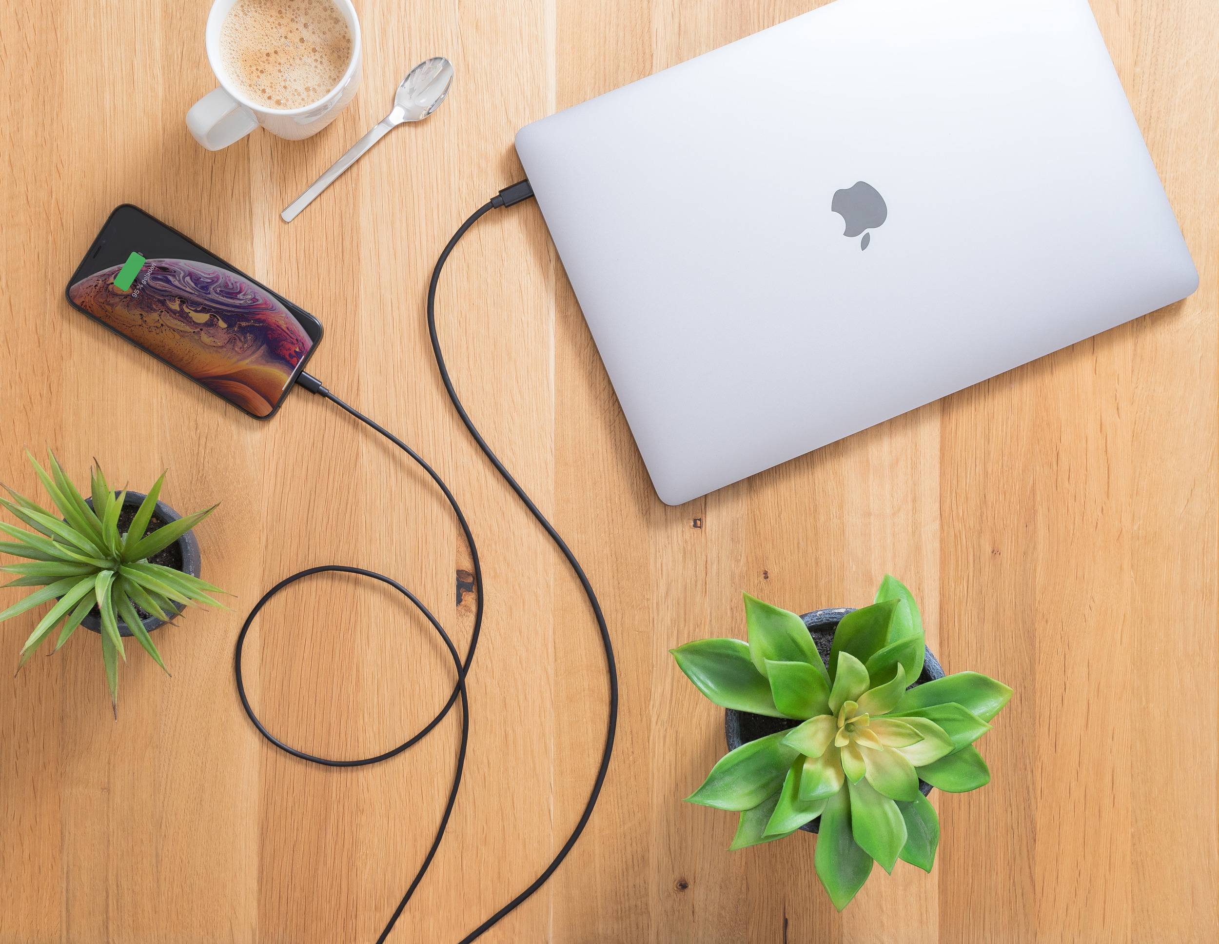 Un ordinateur portable et un smartphone sont connectés par un câble de charge. Sur une table en bois, deux petites plantes et une tasse de café sont posées.