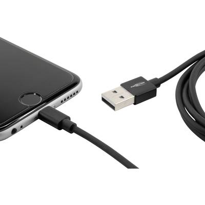 Le smartphone est chargé avec un câble USB. À gauche le téléphone noir avec sa prise ; à droite la fiche USB du câble.