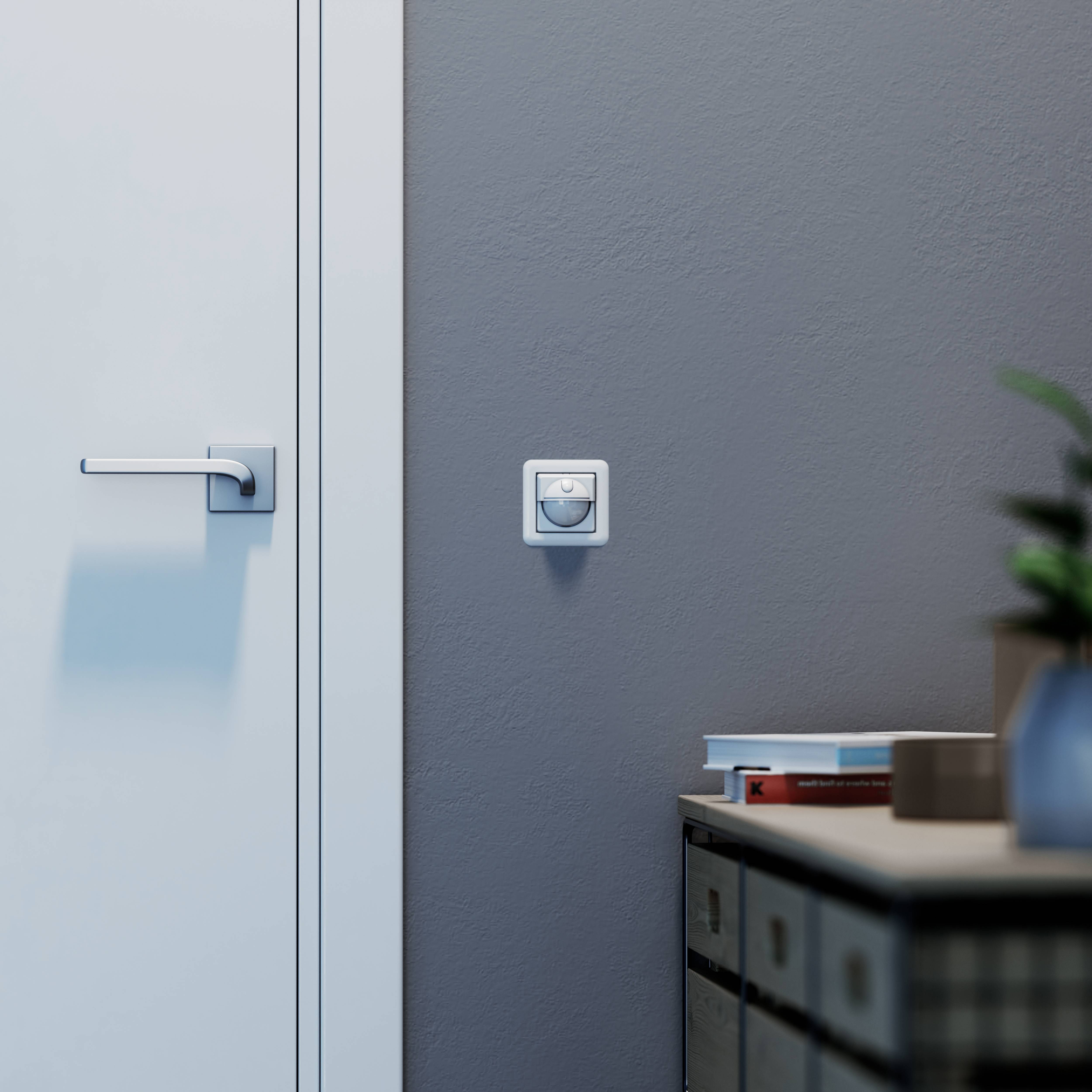 Porte blanche avec une poignée moderne à côté d'un interrupteur sur le mur. Au premier plan, un placard avec des livres empilés et des plantes.