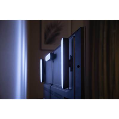 Un moniteur vu de profil avec des LED installées qui éclairent l'environnement en bleu. En arrière-plan, une image avec une feuille de palmier.