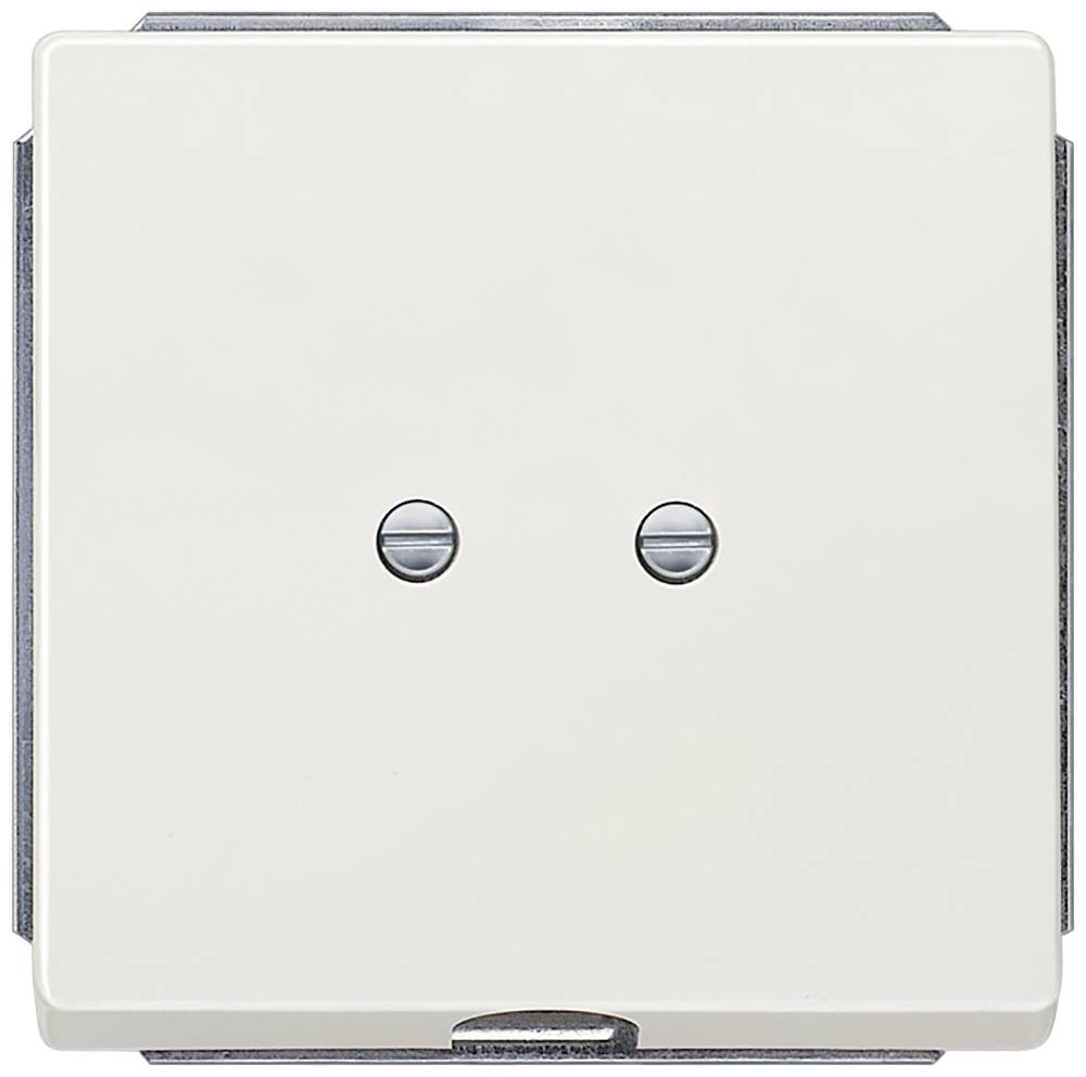 Un interrupteur blanc avec deux vis visibles au centre ; l'interrupteur a l'air simple et fonctionnel.