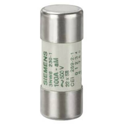 Un fusible cylindrique portant l'inscription 'SIEMENS 100A 500V'.