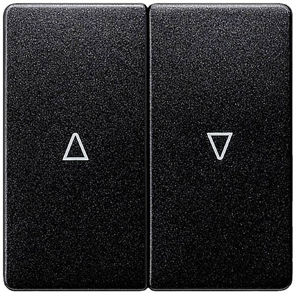 Siemens Gamme d'interrupteurs x2  Bouton à bascule  carbone 5TG6234 1 pc(s)