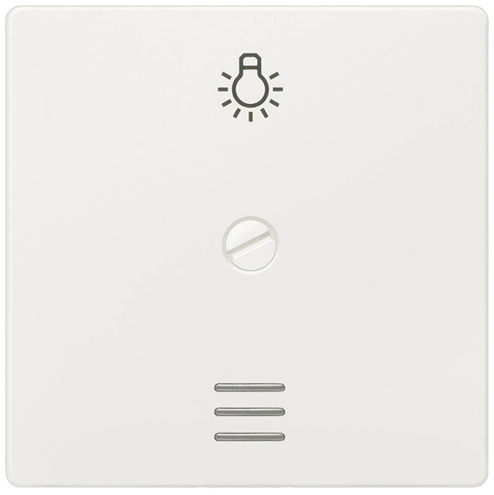 Siemens Gamme d'interrupteurs simple Symbole pour bouton-poussoir "lumière" blanc 5TG6266 1 pc(s)