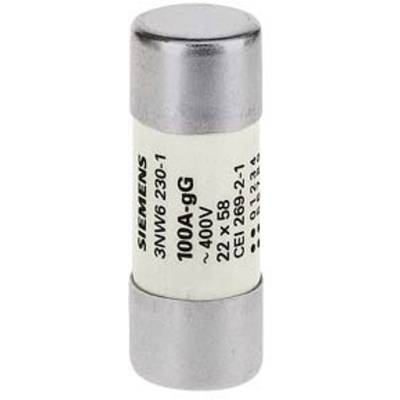 L'image représente un fusible Siemens de type 3NW6 230-1 avec un courant de 100A et une tension de 400V.