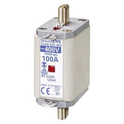 Un fusible cylindrique de Siemens, marqué '400V 100A', indique la tension et l'intensité du courant.