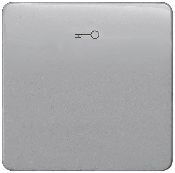 Siemens Gamme d'interrupteurs simple    argent 5TG7928 1 pc(s)