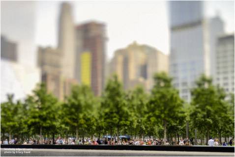 Optique Lensbaby Edge 50-7