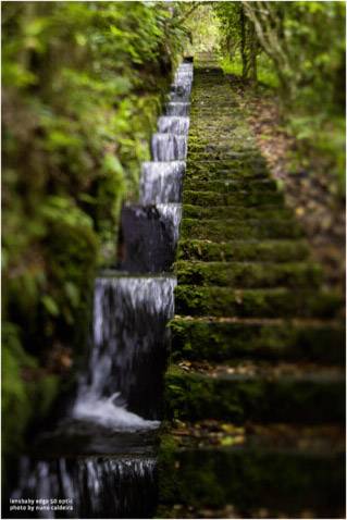 Optique Lensbaby Edge 50-8