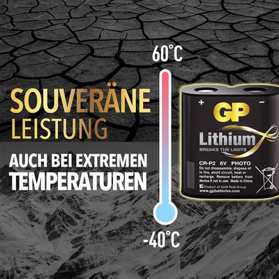 Batterie sur fond carrelé ; Texte : 'Performance souveraine', 'Même à des températures extrêmes', montre une plage de température de -40 °C à 60 °C.