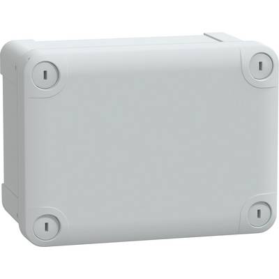 Un boîtier rectangulaire en plastique gris avec des coins arrondis, comportant quatre capuchons de vis ronds à chaque angle.