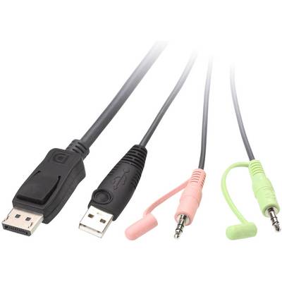 Quatre câbles avec fiches : DisplayPort, USB, fiches jack audio rose et verte. Ils servent à connecter des appareils.