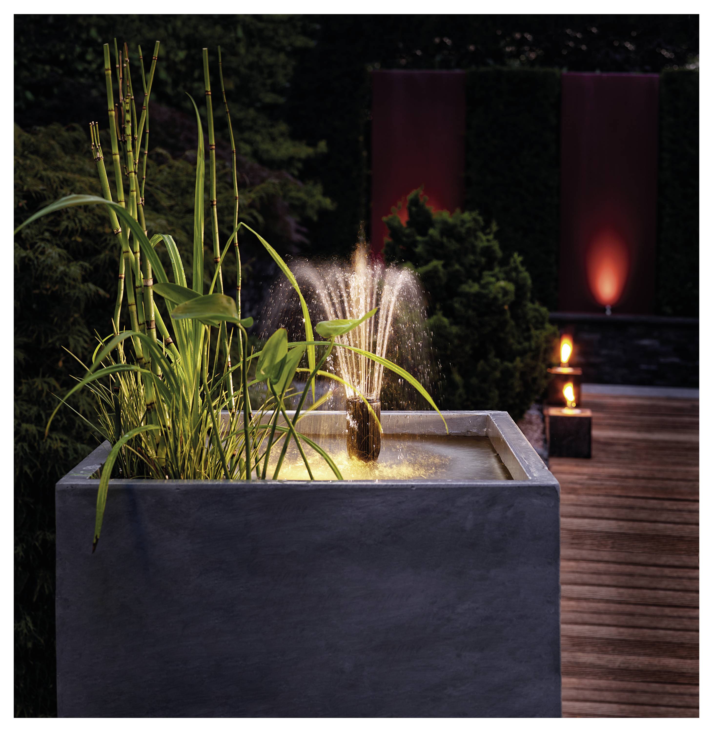 « Une fontaine moderne avec de hautes herbes dans un bac carré, posée sur une terrasse en bois, avec un éclairage d'ambiance chaleureux dans un jardin au crépuscule. »
