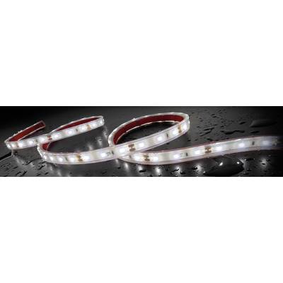 Staudte-Hirsch Ruban LED, Bandeau LED, Eclairage d'intérieur à LED 570029 SH-5.610 12 V LED 12 V (L x l x H) 1 m x 12 mm
