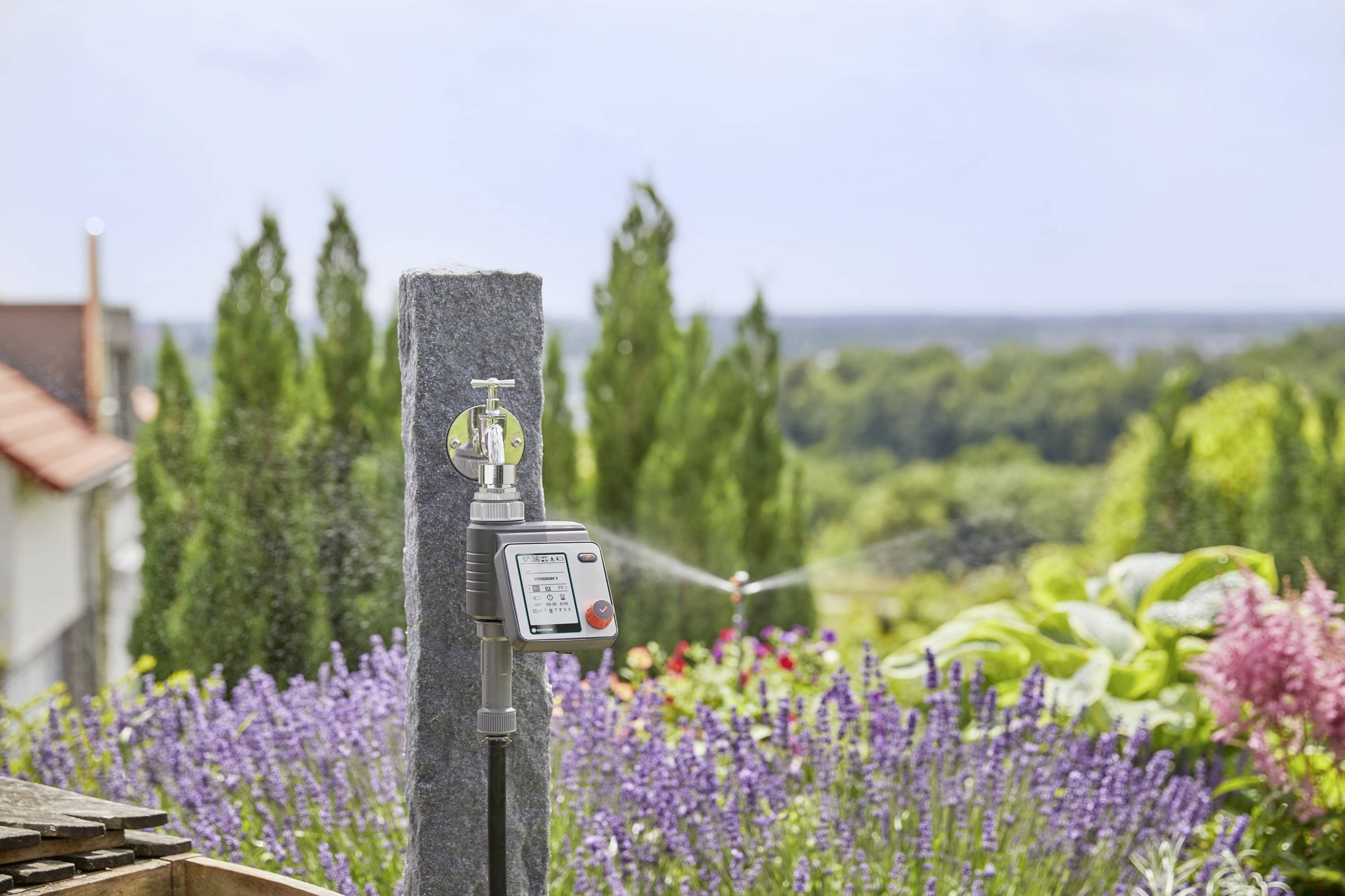 Un système d'irrigation avec minuterie devant un jardin de lavande et d'autres plantes. Des arbres sont visibles en arrière-plan.