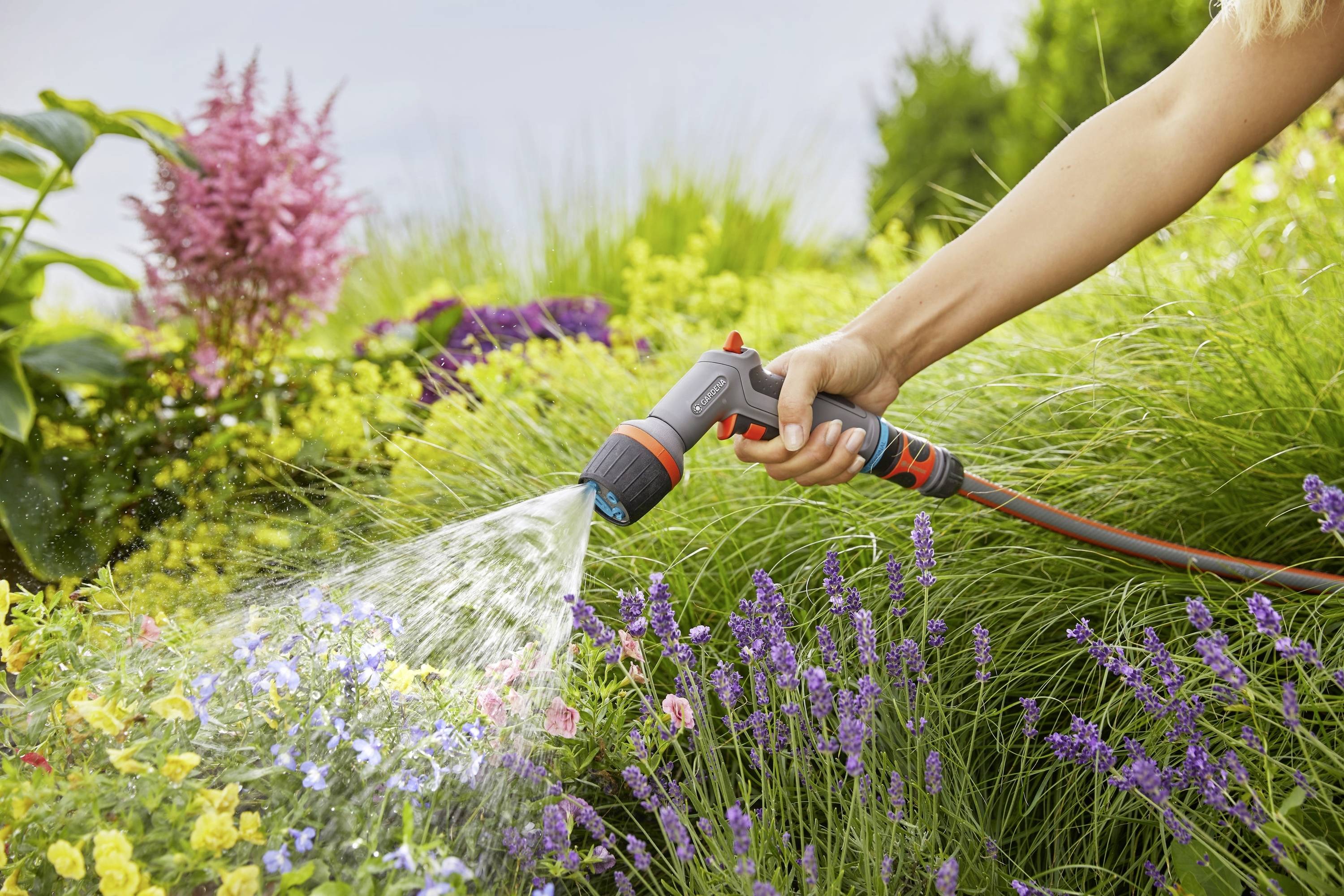 Une personne arrose des fleurs colorées avec un tuyau d'arrosage dans un jardin. À l'arrière-plan, on aperçoit des plantes vertes et des arbustes en fleurs.