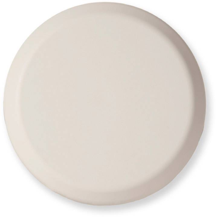 Assiette ronde de couleur pastel sur fond blanc, au design minimaliste.