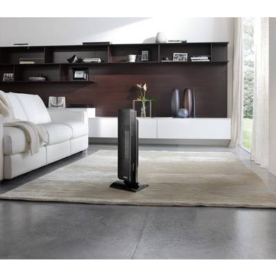 Un espace élégant avec un poêle moderne installé sur un tapis, entouré de meubles minimalistes et de grandes baies vitrées.