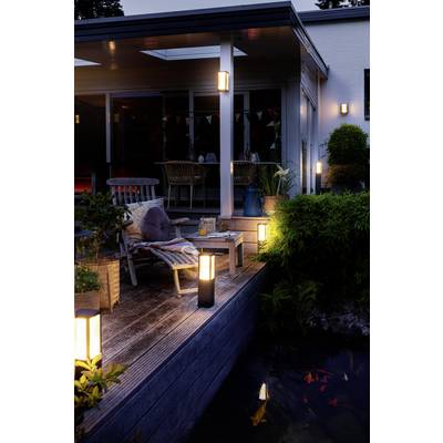 Une terrasse du soir éclairée. Des meubles de salon et une table sont disposés sur le pont en bois. Au premier plan, un étang avec des poissons est visible.